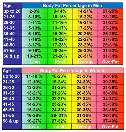 Fat Percentage Table